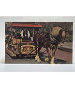 Walt Disney World Horse Drawn Streetcar Dobbin Harness Postcard Old Vint... - £7.41 GBP