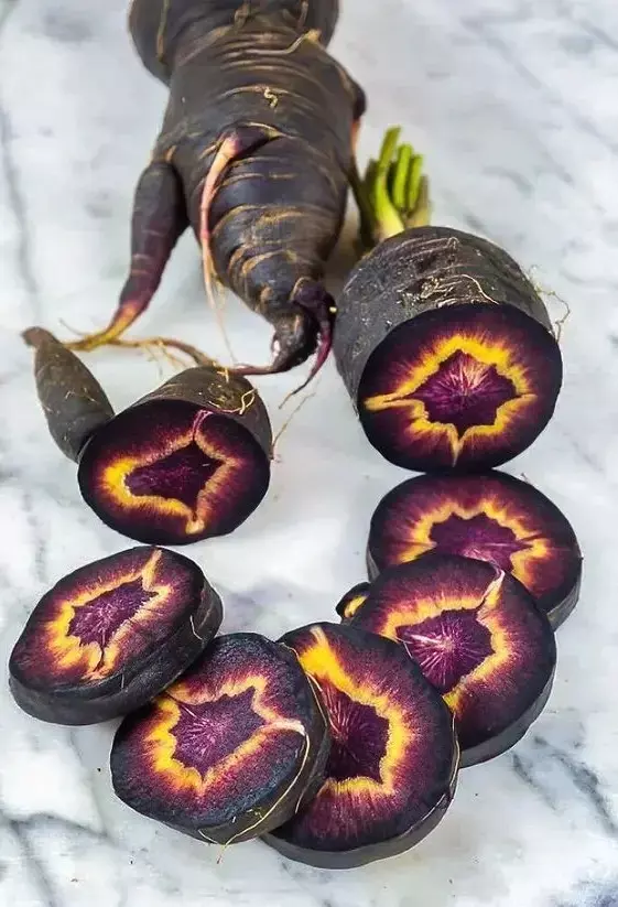 100 Pearl Black Nebula Carrot Seeds US Seller - £7.00 GBP