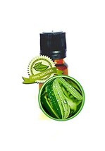 Lemongrass Essential Oil - 5ml(1/6oz) - PURE Cymbopogon Flexuosum -Therapeutic,  - £15.65 GBP