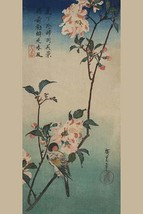 Small bird on a branch of Kaidozakura. 20 x 30 Poster - £20.42 GBP