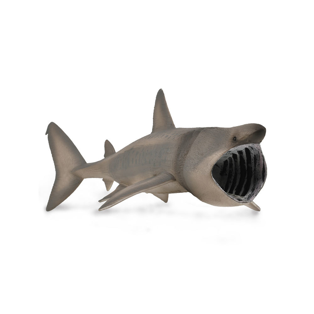 CollectA Basking Shark Figure Extra Large