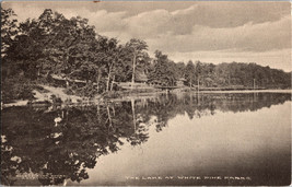 The Lake at White Rine Farms Fletcher  North Carolina Vintage Postcard B4 - £11.84 GBP