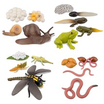 17Pcs Life Cycle Of Frog Snail Earth Dragonfly,Tadpole To Frog Safario - £26.54 GBP