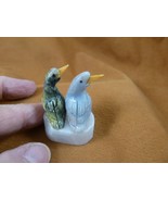 (Y-BIR-SO-403) pair of Songbirds gray + green love bird gemstone STONE g... - $246.68 MXN