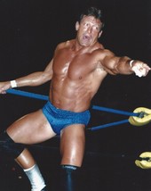 MR WONDERFUL PAUL ORNDORFF 8X10 PHOTO WRESTLING PICTURE WWF RING ACTION - £3.93 GBP