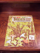 Color in Trees, Shrubs and Weeds Large Art Instruction Book, F. Garner, 55 - $8.95