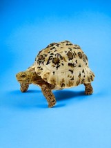 Encyclopedia Dangomushi Turtle P6 Action Figure Somalia Leopard Tortoise Adult - £39.33 GBP