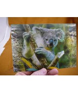 POST-6) Lenticular 3D Postcard 2 in 1 photo Kangaroo forest shifts to Ko... - £7.46 GBP