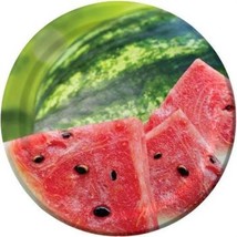 Summer Seeds Watermelon 7 Inch Paper Plates 8 Pack Summer Birthday Party Decor - £10.92 GBP