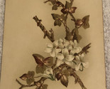 White Flowers Growing Victorian Trade Card VTC 3 - $6.92