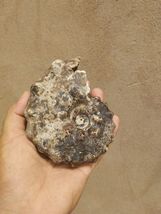Item image 14