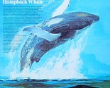 Songs Of The Humpback Whale [Vinyl] - $99.99