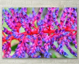 Purple Bromeliad, Abstract Floral, Nature Fine Art Photo, Metal, Canvas, Paper - £25.39 GBP+