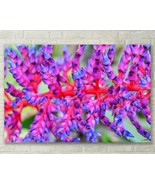 Purple Bromeliad, Abstract Floral, Nature Fine Art Photo, Metal, Canvas,... - $31.50+