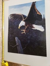 Gray Kremen Symphony on Canvas Bald Eagle Art Print Poster - £7.91 GBP