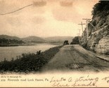Riverside Road Lock Haven Pennsylvania PA 1900s Unused UNP UDB Postcard - £10.47 GBP