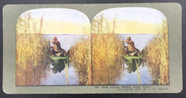 1905 TW Ingersoll Stereograph #420 Duck Hunter Getting Under Cover Canoe Hunting - £7.58 GBP