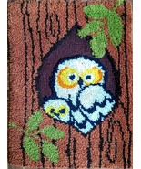 Owl Latch Hook Rug, Completed Shag Wall Hanging, 27&quot; x 20&quot; MCM c.1970s  ... - $40.00