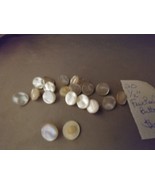 20 White Faux Pearl Shell Shank Button 1/2&quot;  - $6.85 CAD
