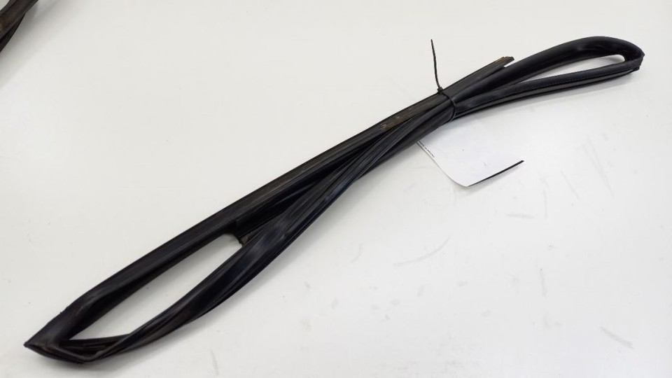 Sentra Door Glass Window Seal Rubber Left Driver Front 2007 2008 2009 20... - $29.96