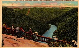 Cheat River Gorge from Lookout Point Coopers Rock WV State Forest Park P... - $5.99