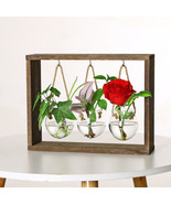 Tabletop Plant Glass Growing Vase, DIY Hanging Glass Hydroponic Vase, Ho... - £21.57 GBP