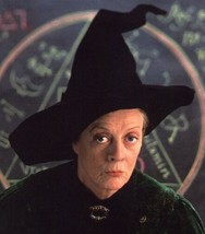 Harry Potter Professor McGonagall Deluxe Wizard Hat with Feather, NEW UNWORN - £20.98 GBP