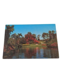 Postcard Blossom Time Florida&#39;s Cypress Gardens Chrome Posted - £5.17 GBP