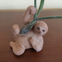 Sloth Air Plant Holder with Tillandsia Butzii Airplant, resin 3" animal planter image 3