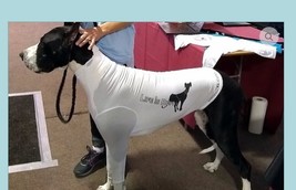 ✅DoggyXL T-Shirt Fits Custom Made for Great Danes - Keep warm - Form Fitting - $39.99