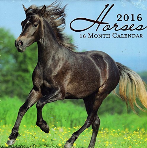 Primary image for 2016 Horses 16 Month Wall Calendar