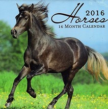 2016 Horses 16 Month Wall Calendar - £4.77 GBP