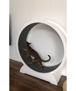 Running wheel for cats - $1,025.78 CAD