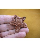 (Y-STA-558) orange Goldstone STARFISH gemstone sea star Stone FIGURINE c... - £11.02 GBP