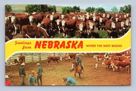 Doppio Vista Banner Greetings From Nebraska Ne Cowboys Unp Cromo Cartolina P1 - £3.92 GBP