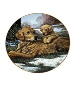 Hamilton Collection Sporting Generation Plate Golden Moments Jim Lamb - $463.54 MXN
