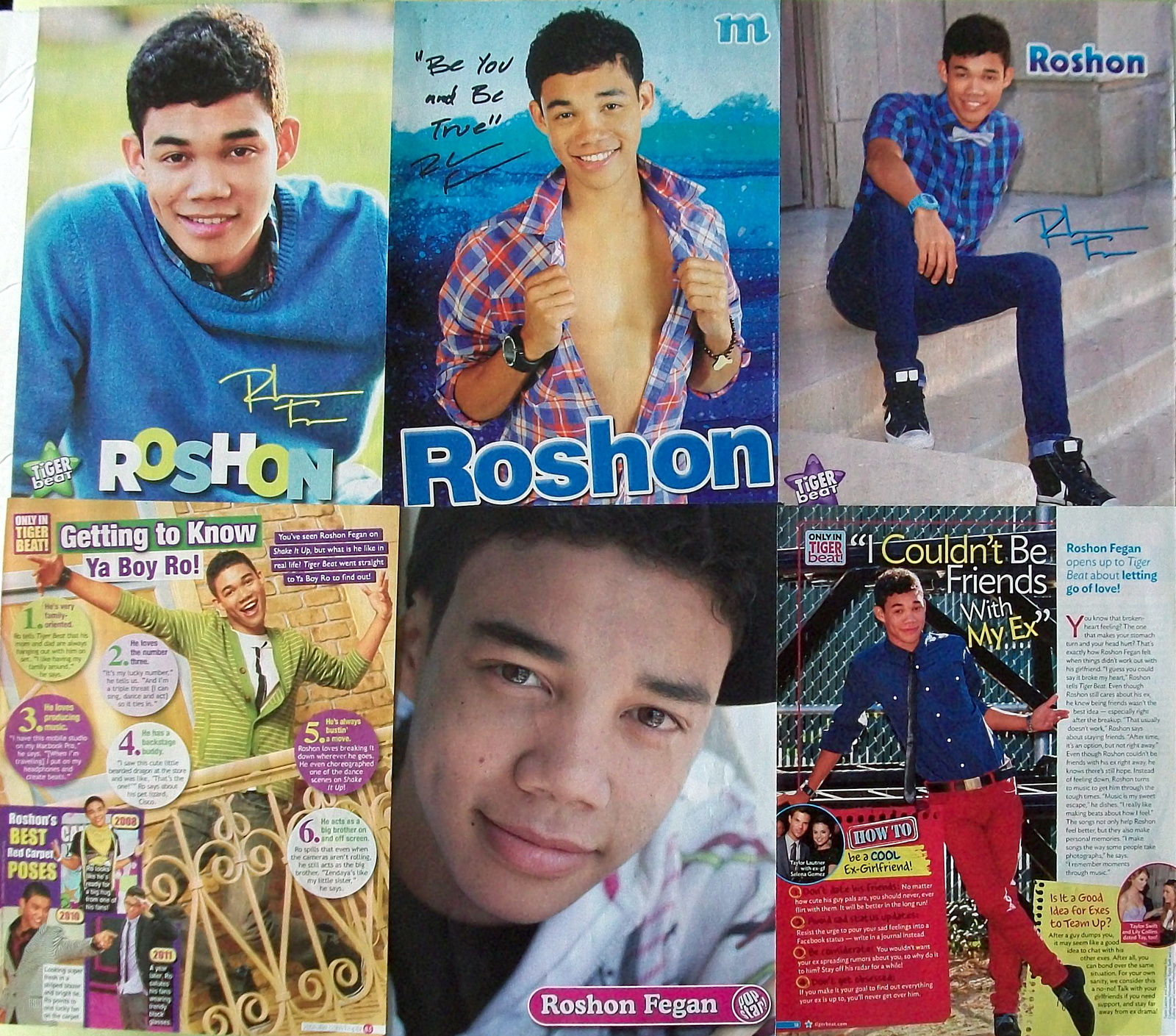 ROSHON FEGAN ~ 37 Color and B&amp;W Clippings, Articles, PIN-UPS from 2008-2013 - $6.67