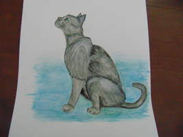 Curious Cat Art Print - $3.00