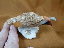 (Y-BIR-QU-19) Quail white red black bird gemstone STONE figurine Peru qu... - $28.99