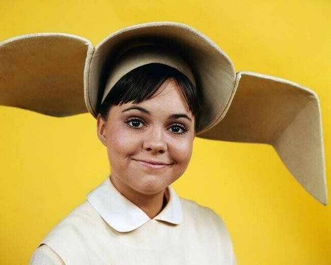Sally Field with cute smile 8x10 inch photo The Flying Nun TV series24x30 Poster