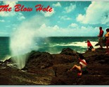 The Blow Hole Saltwater Geyser Oahu Hawaii HI UNP Nani Li&#39;i Chrome Postc... - $3.91