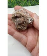 DOGTOOTH CALCITE W/ QUARTZ MINERAL SPECIMEN - $26.72
