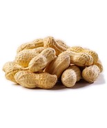 Arachis hypogaea seeds peanut  Virginia 85g (3 oz) semillas grain Free s... - $14.77