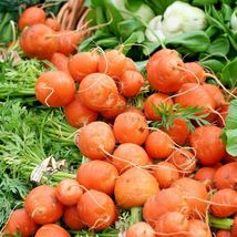 800 Seeds Parisian 2&quot;ROUND Carrot Organic Non-Gmo Gourmet Garden/Patio Container - £13.67 GBP