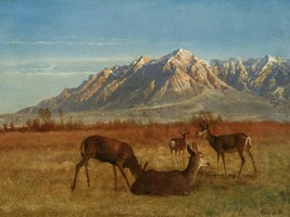 Deer in Mountain Home by Albert Bierstadt as Giclee Art Print + Ships Free - £31.17 GBP+