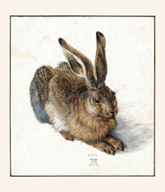 16x20&quot; CANVAS Decor.Room art print.Bunny.Rabbit.Realistic drawing.6059 - £37.19 GBP