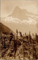 RPPC Beautiful Mountains and Snow Fields with The Pine Trees c1930 Postcard W12 - £6.72 GBP