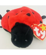 Ty Lucky Lady Bug  Beanie Babies 5&quot; Date Of Birth May 1 1995 Red Black Tag - £11.18 GBP