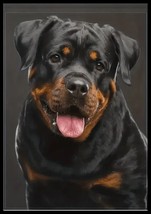 NEW 11.5x17 Rottweiler Garden SILK Flag 2 Sided   Free Ship - £7.82 GBP