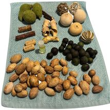 Nature Themed Potpourri Bowl Vase Fillers 1.5 Lbs Nuts Sticks Fruits Cor... - $19.80